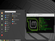 Cinnamon LMDE 3 Beta